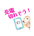 lovelyダックスフンド・アンの日常Part5（個別スタンプ：34）