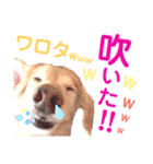 lovelyダックスフンド・アンの日常Part5（個別スタンプ：40）