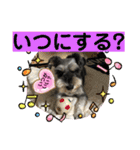 レオくんの日常パート1（個別スタンプ：5）