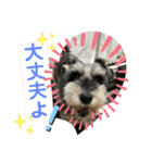 レオくんの日常パート1（個別スタンプ：6）