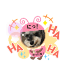 レオくんの日常パート1（個別スタンプ：7）