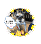 レオくんの日常パート1（個別スタンプ：13）
