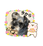 レオくんの日常パート1（個別スタンプ：18）