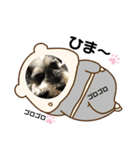 レオくんの日常パート1（個別スタンプ：22）