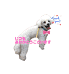 ⭐︎がんばるシッターさんのお仕事会話編⭐︎（個別スタンプ：1）