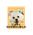 ⭐︎がんばるシッターさんのお仕事会話編⭐︎（個別スタンプ：3）