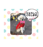 ⭐︎がんばるシッターさんのお仕事会話編⭐︎（個別スタンプ：6）