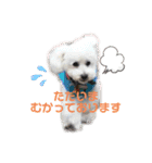 ⭐︎がんばるシッターさんのお仕事会話編⭐︎（個別スタンプ：14）