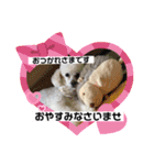 ⭐︎がんばるシッターさんのお仕事会話編⭐︎（個別スタンプ：17）