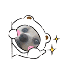 ⭐︎がんばるシッターさんのお仕事会話編⭐︎（個別スタンプ：19）