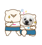 ⭐︎がんばるシッターさんのお仕事会話編⭐︎（個別スタンプ：20）