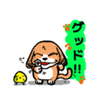 犬たろう（個別スタンプ：7）