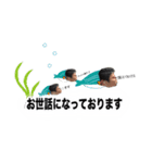 もっと愛され奥歯【ビジネス編】（個別スタンプ：2）