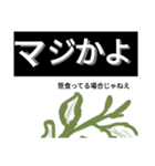 文字利用3Dスタンプ（個別スタンプ：8）