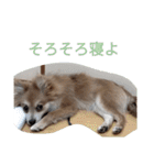陽気なきなこ（個別スタンプ：7）
