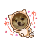 陽気なきなこ（個別スタンプ：12）