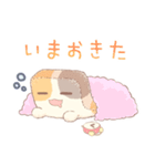 しかくいいきもの（個別スタンプ：30）