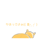 かまってちゃん猫スタンプ！（個別スタンプ：1）