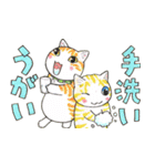 夜廻り猫 6（個別スタンプ：24）