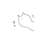 ひょっこり猫さん（個別スタンプ：6）