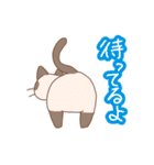 【日常】可愛いねこチャン（個別スタンプ：11）