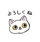 しろねこしっぽちゃん日常会話のスタンプ（個別スタンプ：2）