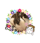 お茶目なkokkochan(5)（個別スタンプ：7）