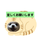めちゃかわルルとマロン（個別スタンプ：3）