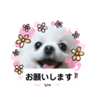 めちゃかわルルとマロン（個別スタンプ：4）