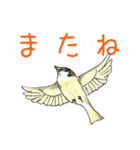 ご近所の元気スズメ（個別スタンプ：16）