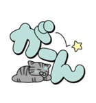 使いやすいデカ文字スタンプ✨サバ猫✨大和猫（個別スタンプ：34）