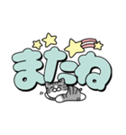 使いやすいデカ文字スタンプ✨サバ白大和猫（個別スタンプ：37）