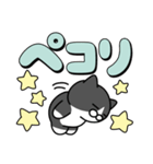 使いやすいデカ文字スタンプ✨白黒猫✨大和猫（個別スタンプ：8）