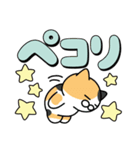 使いやすいデカ文字スタンプ✨三毛猫✨大和猫（個別スタンプ：8）