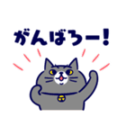 日常とねこ（個別スタンプ：3）