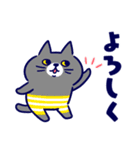 日常とねこ（個別スタンプ：9）