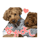 焼き菓子トイプードル（個別スタンプ：9）