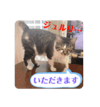 みいとぅん2段（個別スタンプ：3）