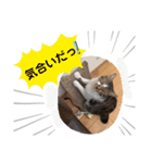 みいとぅん2段（個別スタンプ：5）