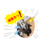 みいとぅん2段（個別スタンプ：6）
