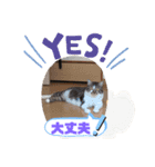 みいとぅん2段（個別スタンプ：9）