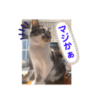 みいとぅん2段（個別スタンプ：10）