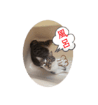 みいとぅん2段（個別スタンプ：14）