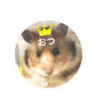 もふもふのもふでし（個別スタンプ：1）