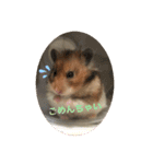 もふもふのもふでし（個別スタンプ：4）