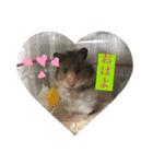 もふもふのもふでし（個別スタンプ：6）