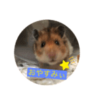 もふもふのもふでし（個別スタンプ：7）