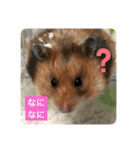 もふもふのもふでし（個別スタンプ：8）