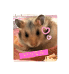 もふもふのもふでし（個別スタンプ：9）
