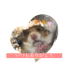 もふもふのもふでし（個別スタンプ：11）